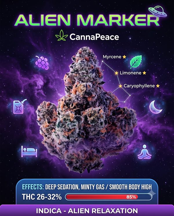 Alien Marker — CannaPeace premium cannabis flower