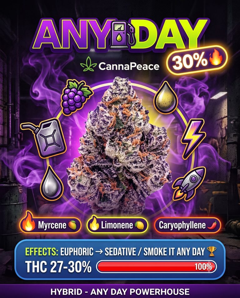 Any Day