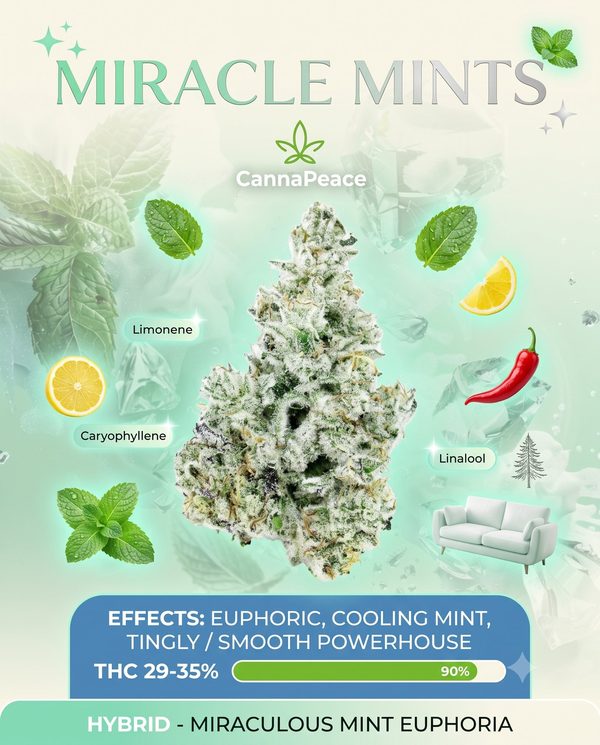 Miracle Mints — CannaPeace premium cannabis flower